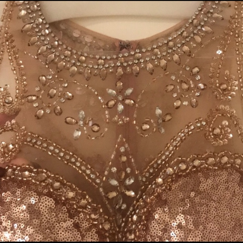 Sequined Rose Gold Dress - Picture 5 of 6